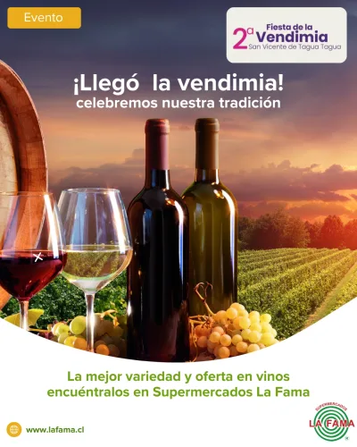 Publicación Instagram Fiesta de la Vendimia y oferta de vinos — Supermercados La Fama